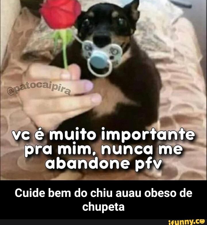 vc é muito importante pra mim, nunca me abandone pfv
Cuide bem do chiu auau obeso de chupeta - Cuide bem do chiu auau obeso de chupeta