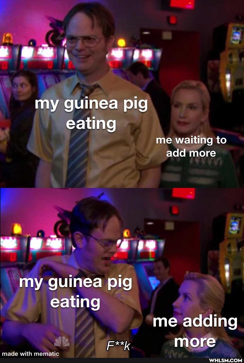 my guinea pig eating
me waiting to add more
my guinea pig eating me adding more