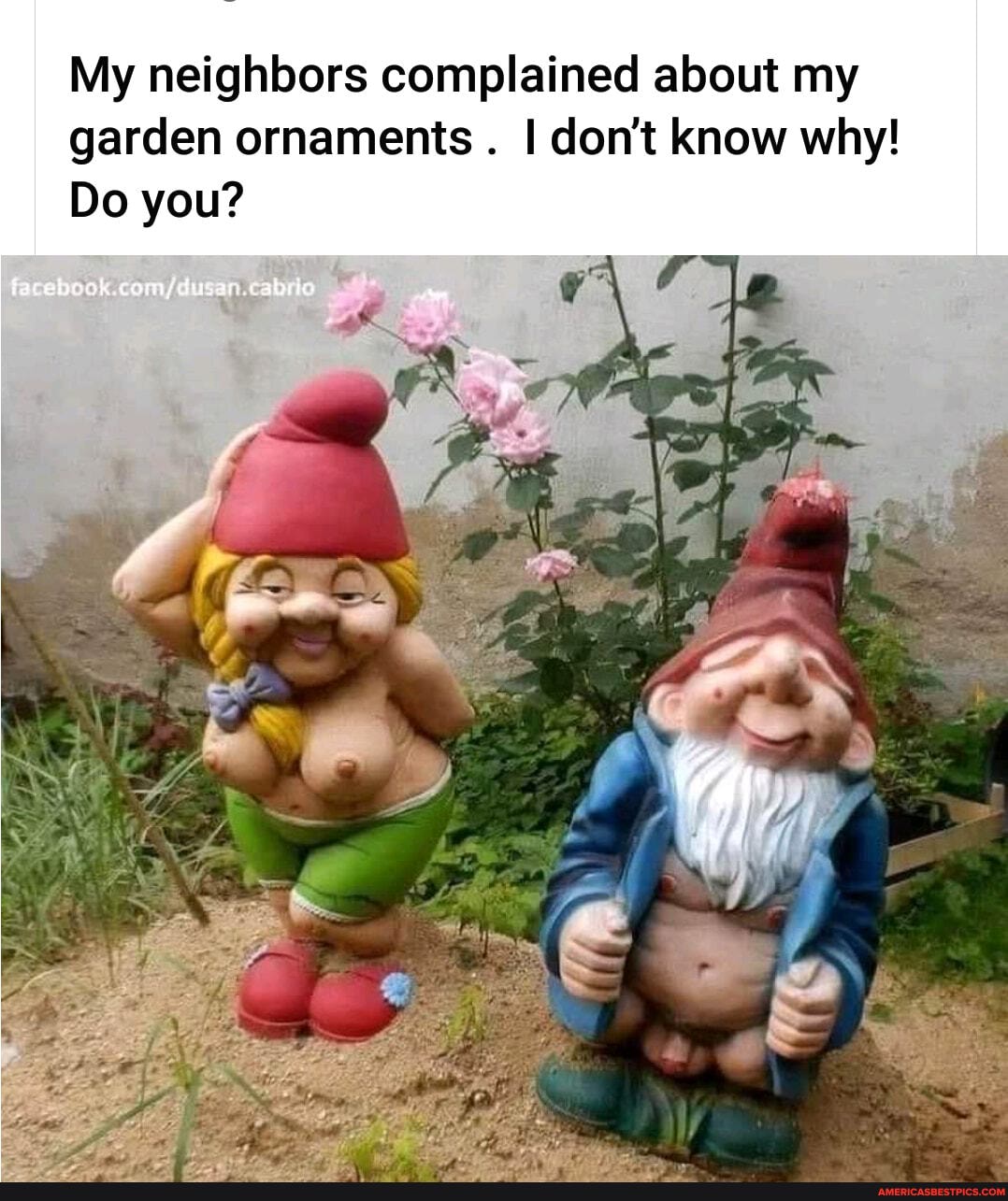 My neighbors complained about my garden ornaments . I don't know why!
Do you?
an he