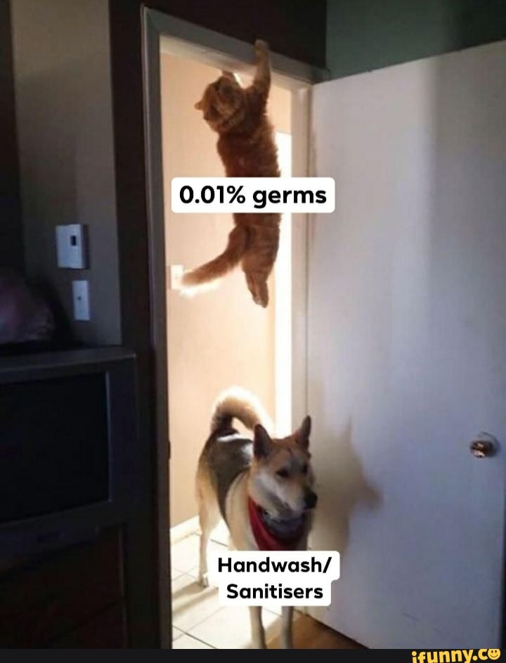 0.01% germs
Sanitisers