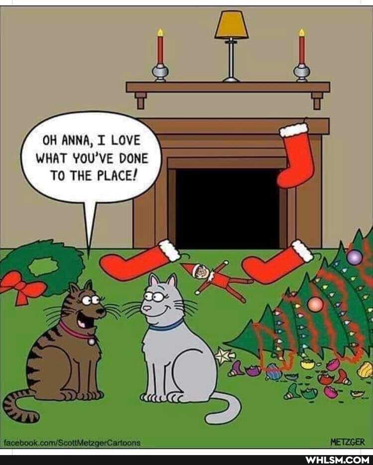 OH ANNA, I LOVE WHAT YOU'VE DONE TO THE PLACE!
AS