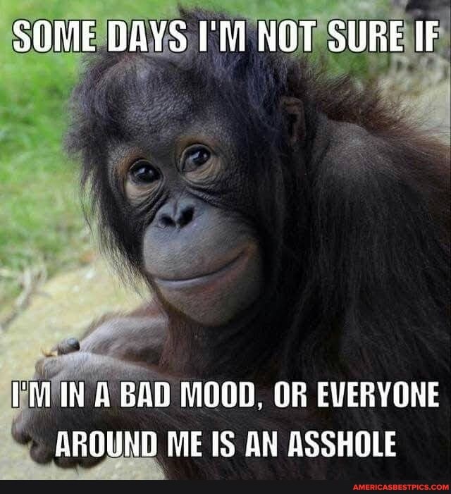 SOME BAYS 'M NOT SURE IF
FIN A BAD MOOD, OR EVERYONE AROUND ME IS AN ASSHOLE