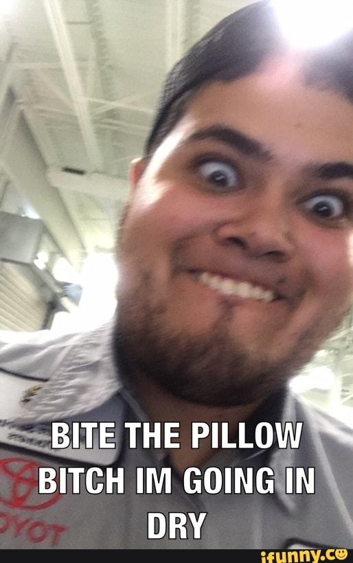 Bite The Pillow Bitch Im Goinga Qn Dry Ifunny