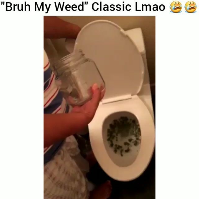 Video Memes Aqghpq375 By White Cocaine 2017 1 2k Comments Ifunny