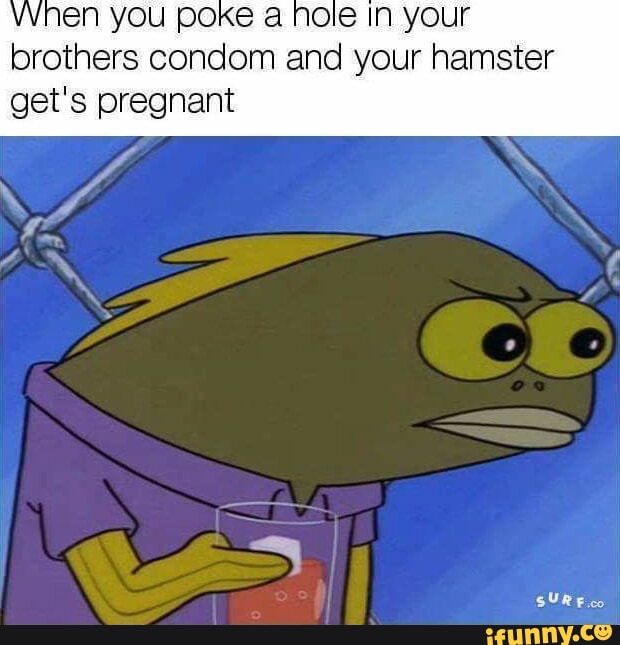 Vvnen You Poke A Hole In Your Brothers Condom And Your Hamster Gets Pregnant Sure Co Ifunny 