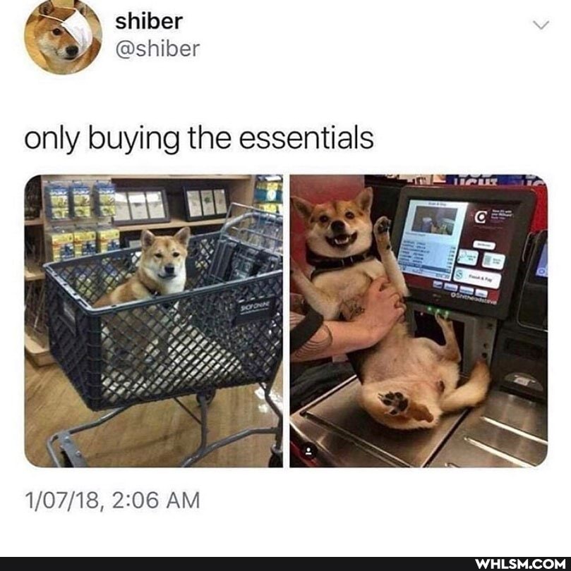 shiber
@shiber
only buying the essentials
AM