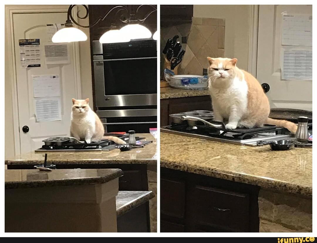 karen, need, pancakes