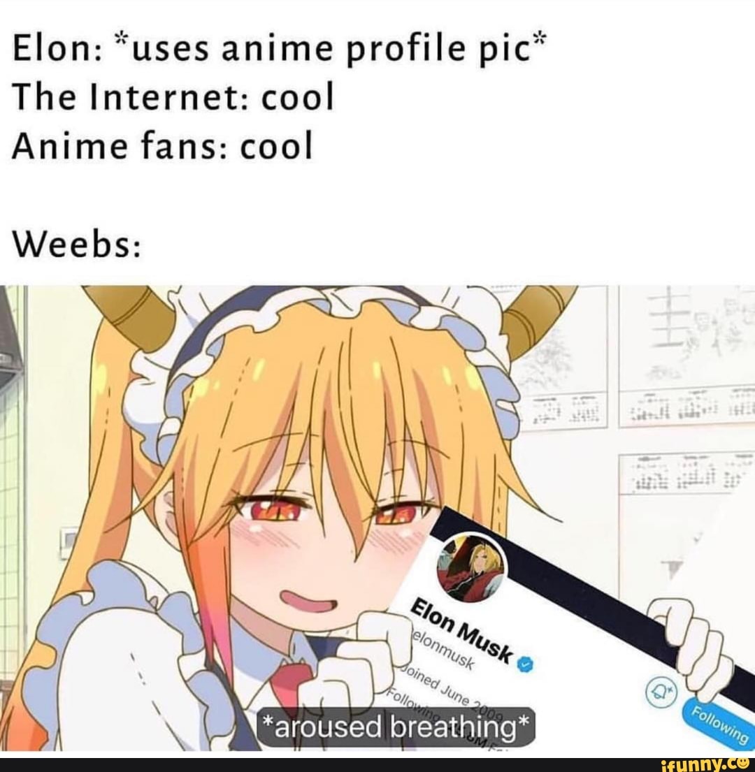 Elon: *uses anime profile pic* The Internet: cool Anime fans: cool -  