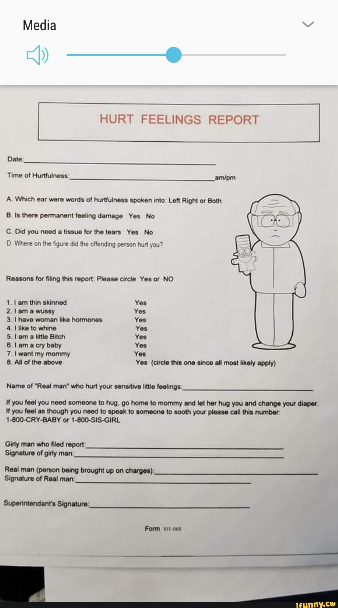 Hurt Feelings Report Template Hurt Feelings Report Template
