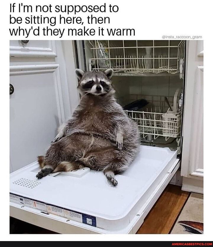 If I'm not supposed to be sitting here, then why'd they make it warm