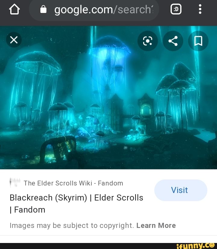 a The Elder Scrolls Wiki
Fandom
Blackreach (Skyrim) I Elder Scrolls
I Fandom
Images may be subject to copyright. Learn More