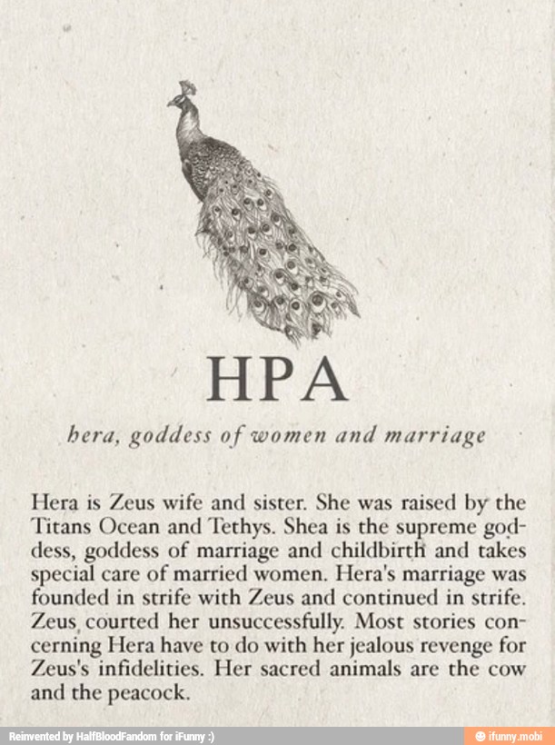 hera, goddess of women and marriage
Hera is Zeus wife and sister. She was raised by the
Titans Ocean and Tethys. Shea is the supreme god-
dess, goddess of marriage and childbirth and takes
special care of married women, Hera's marriage was
founded in strife with Zeus and continued in strife.
Zeus, courted her unsuccessfully. Most stories con-
cerning Hera have to do with her jealous revenge for
Zeus's infidelities. Her sacred animals are
the cow
and the peacock.