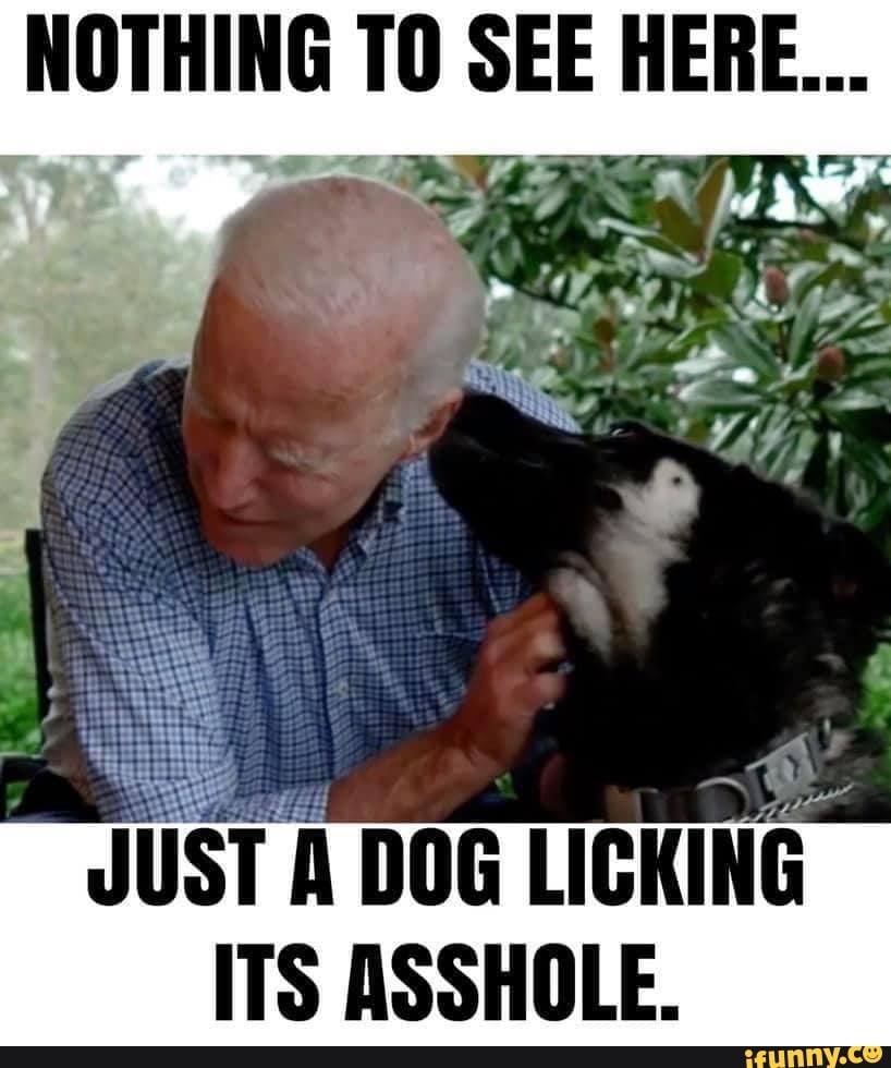 NOTHING TO SEE HERE... ye JUST A DOG LICKING ITS ASSHOLE. - iFunny