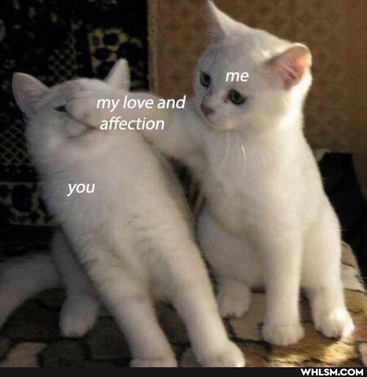 me my love and affection you