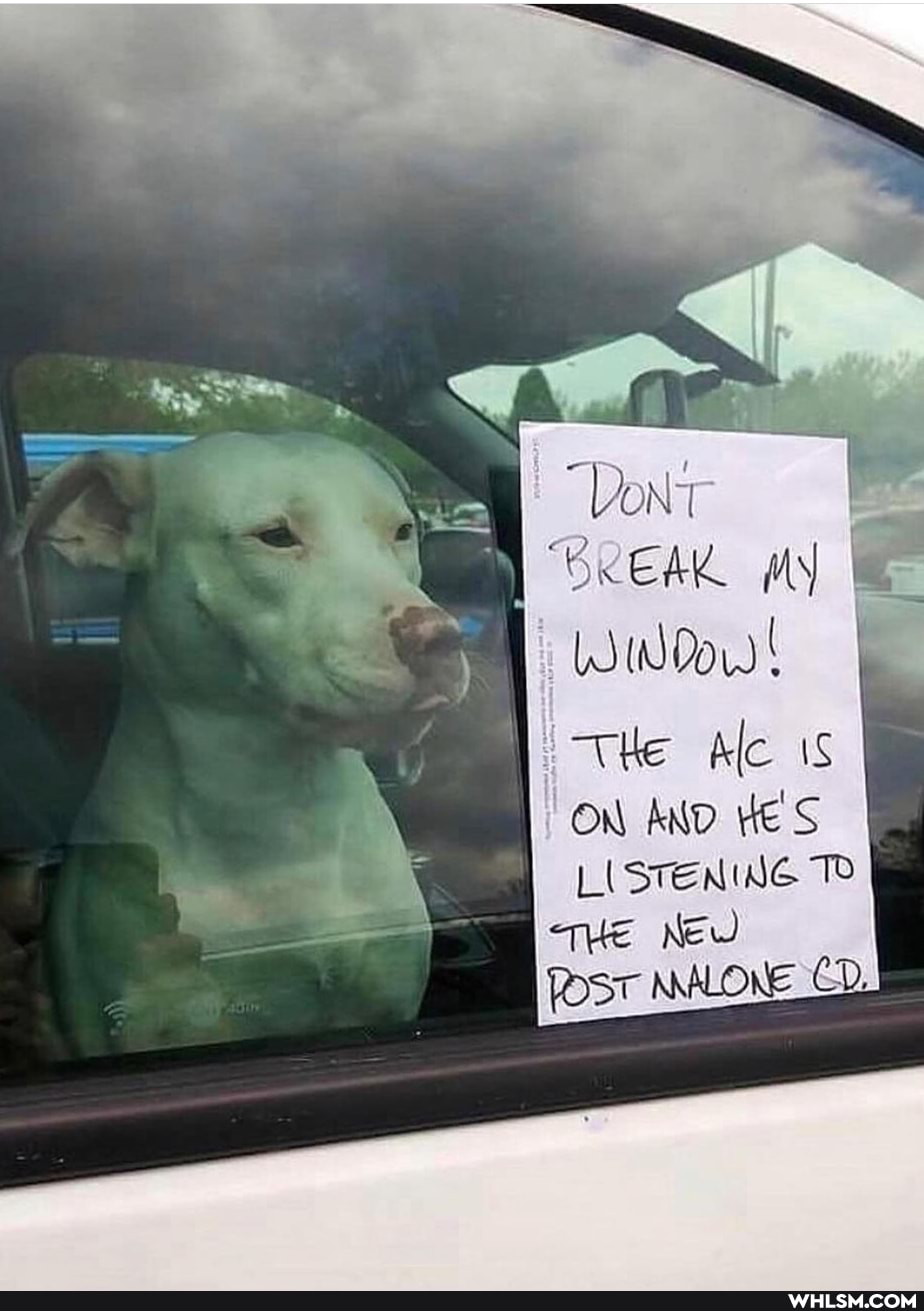 'BREAK WY
WWW!
He Ale iS ON AND HE S LISTENING TO
THE New
POST NALONE CD