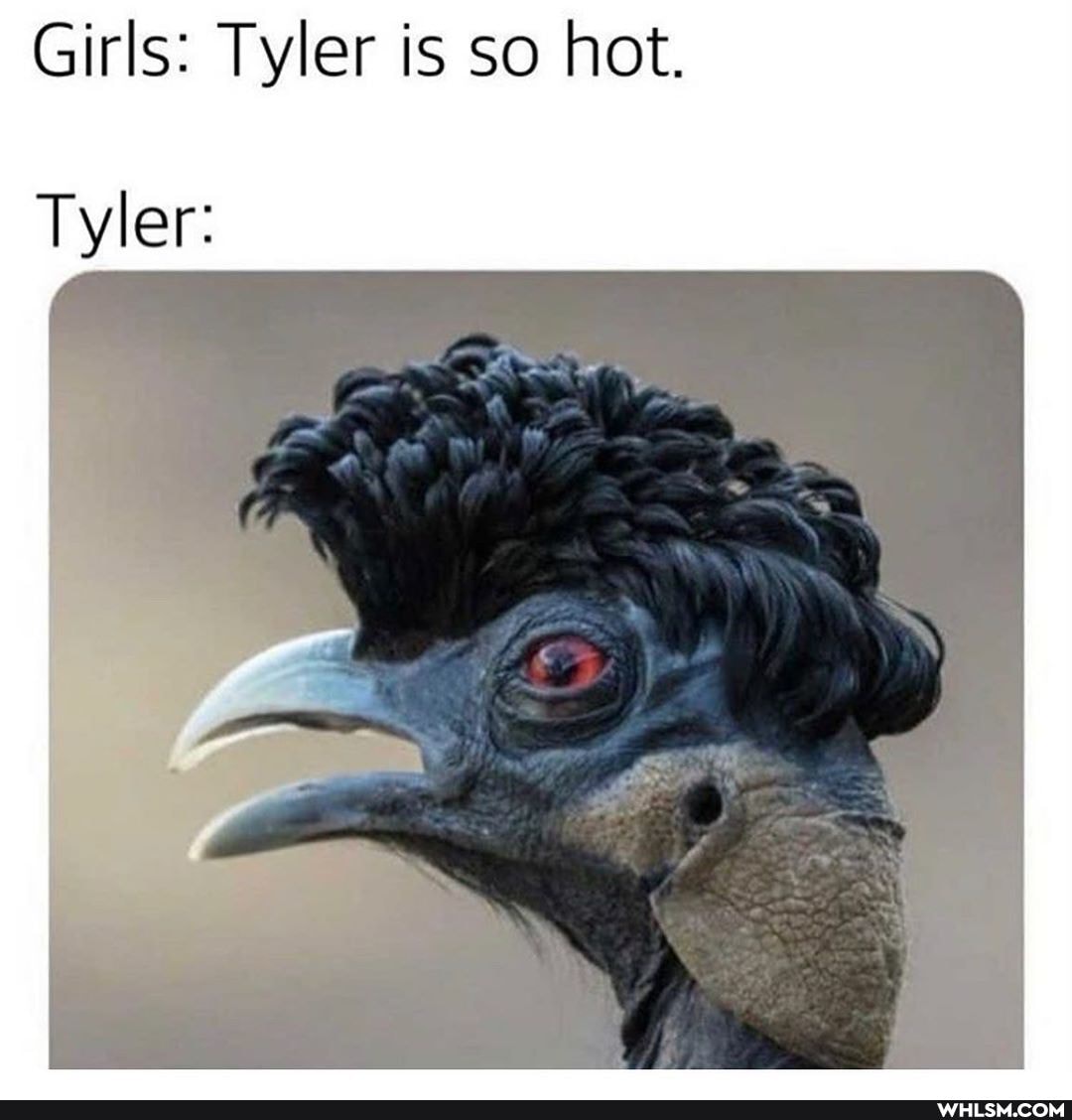 Girls: Tyler is so hot.
Tyler: