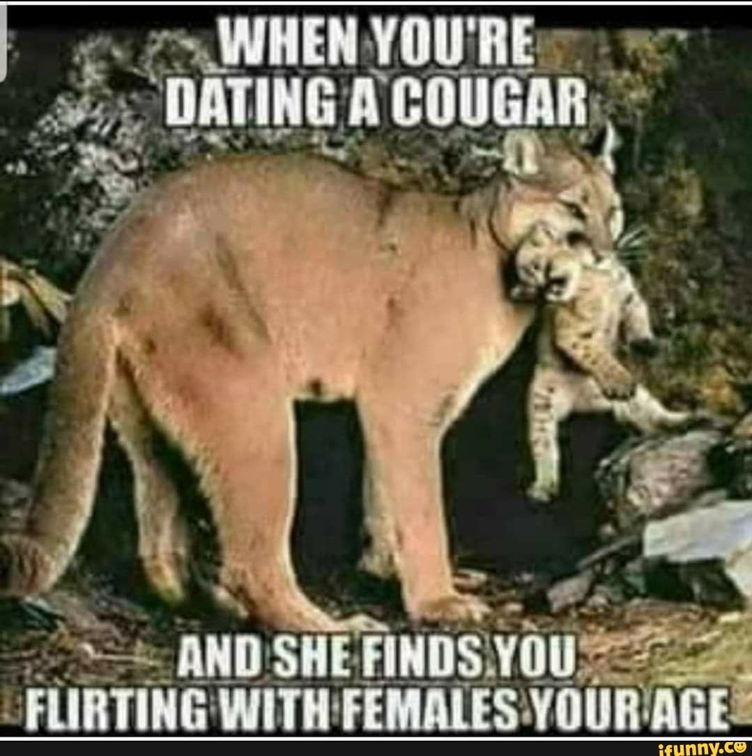 Slideshow dating cougars memes.