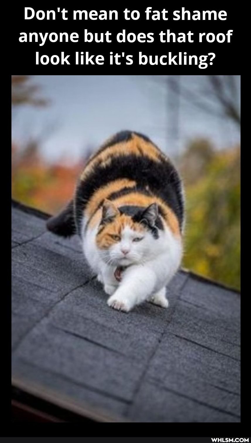 Don't mean to fat shame anyone but does that roof look like it's buckling?