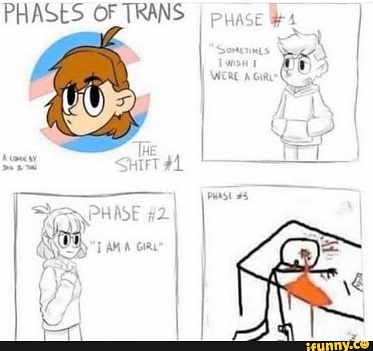 PHASES OF TRANS I puase 7 a E A sit RE A NAT I I id i I do Rm E 43 E ...