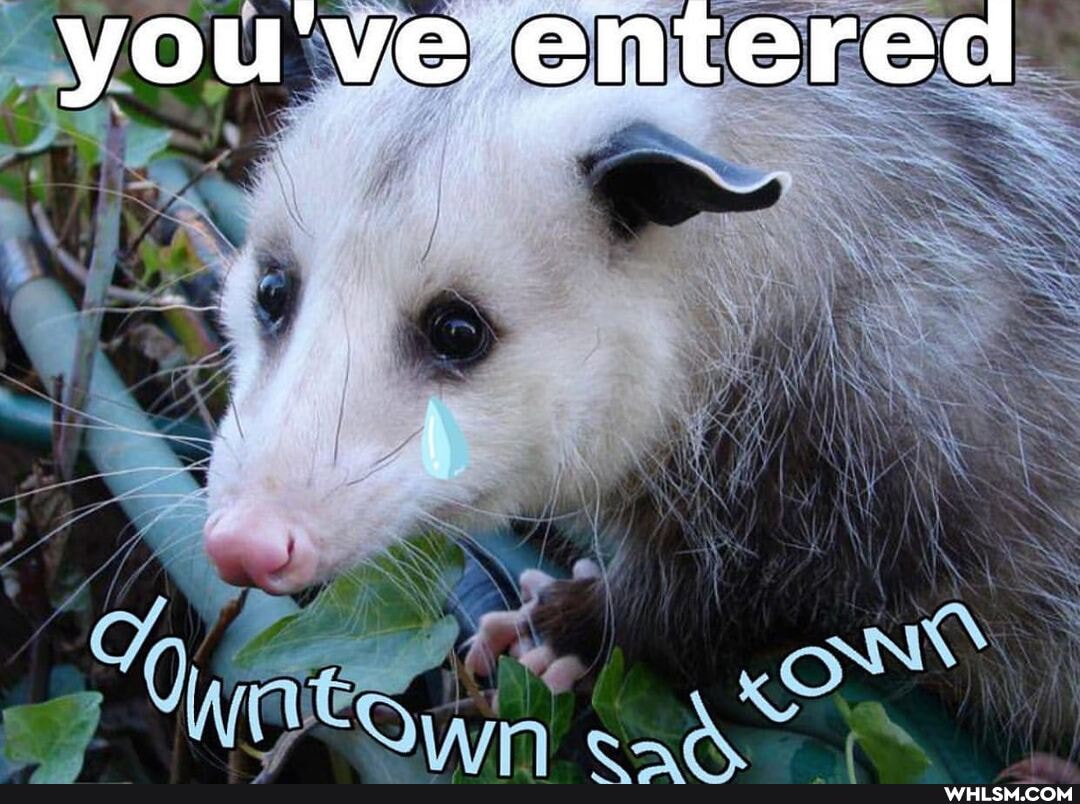 you've entered