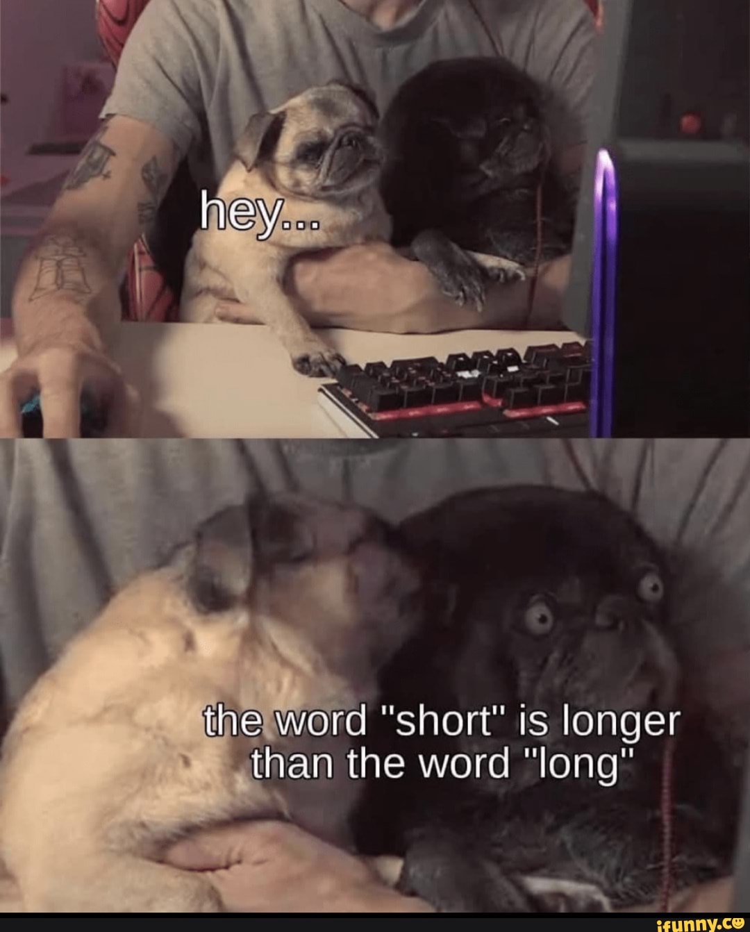 the-word-short-is-longer-than-the-word-long-ifunny