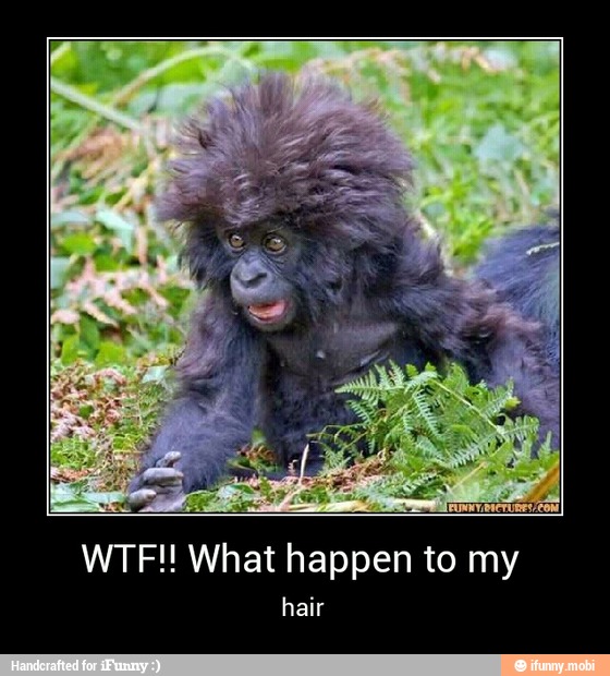 WTF!! What happen to my - WTF!! What happen to my
hair