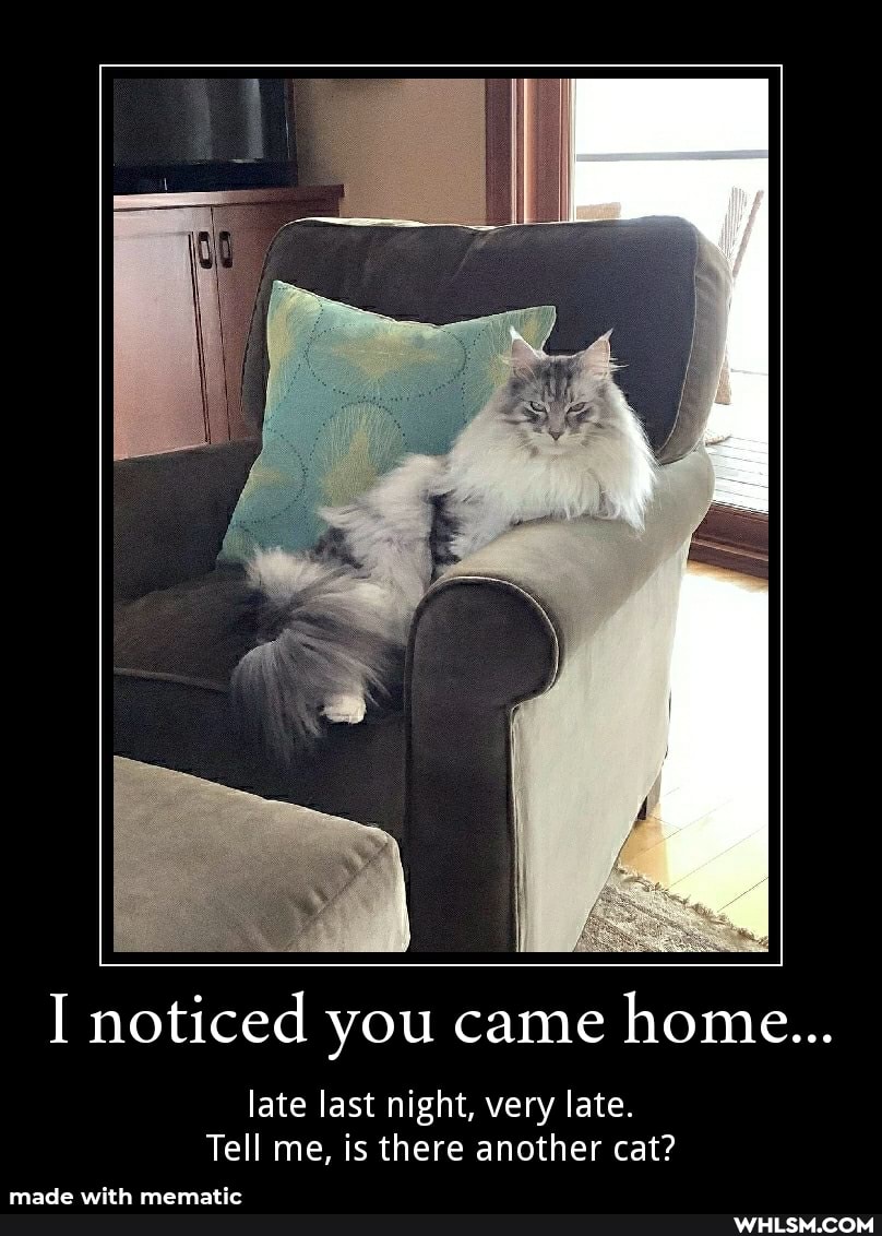 I noticed you came home...
late last night, very late.
Tell me, is there another cat?