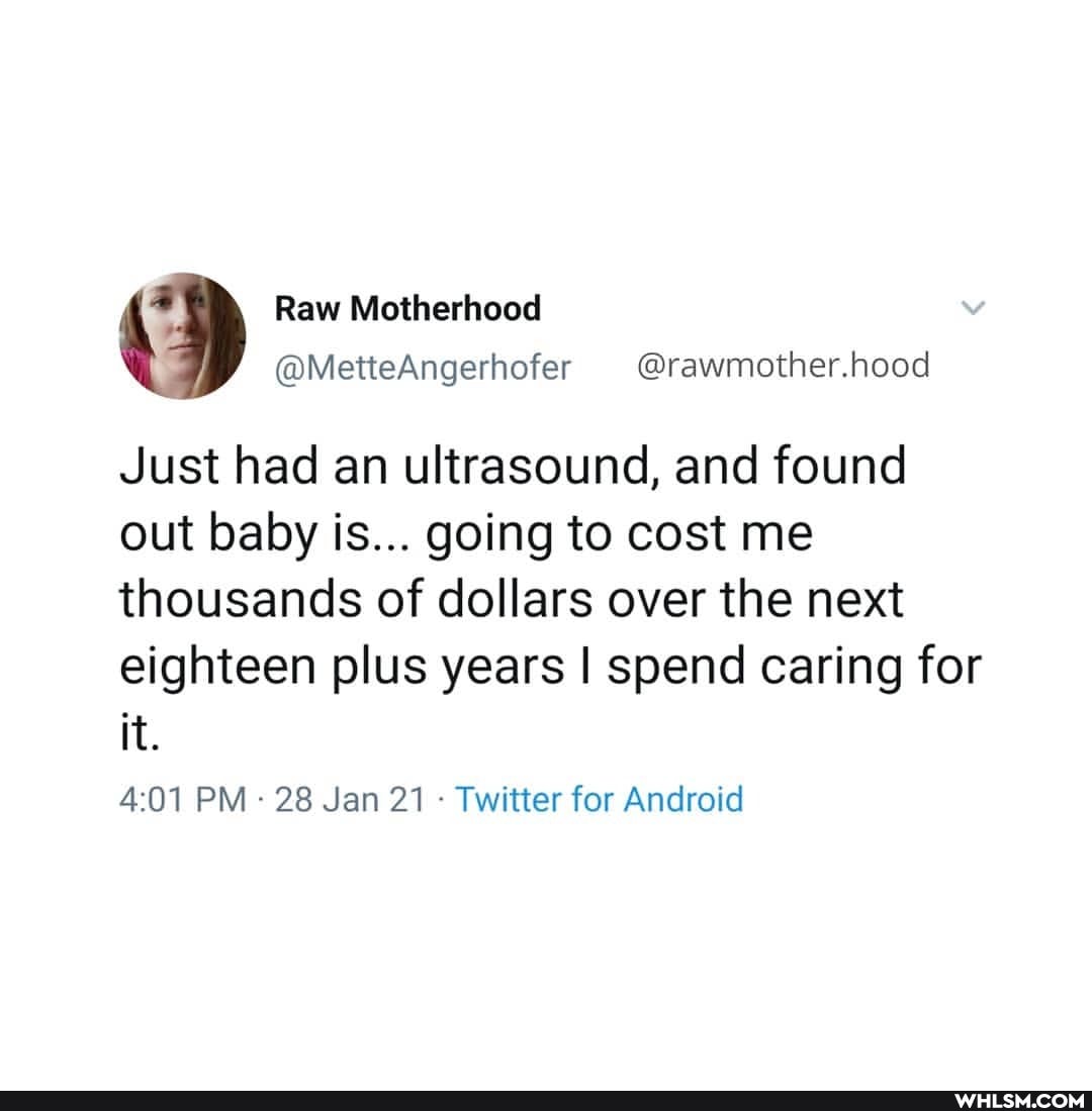 4 Raw Motherhood
@MetteAngerhofer @rawmother.hood
Just had an ultrasound, and found out baby is... going to cost me thousands of dollars over the next eighteen plus years I spend caring for it.
PM - 28 Jan 21 - Twitter for Android