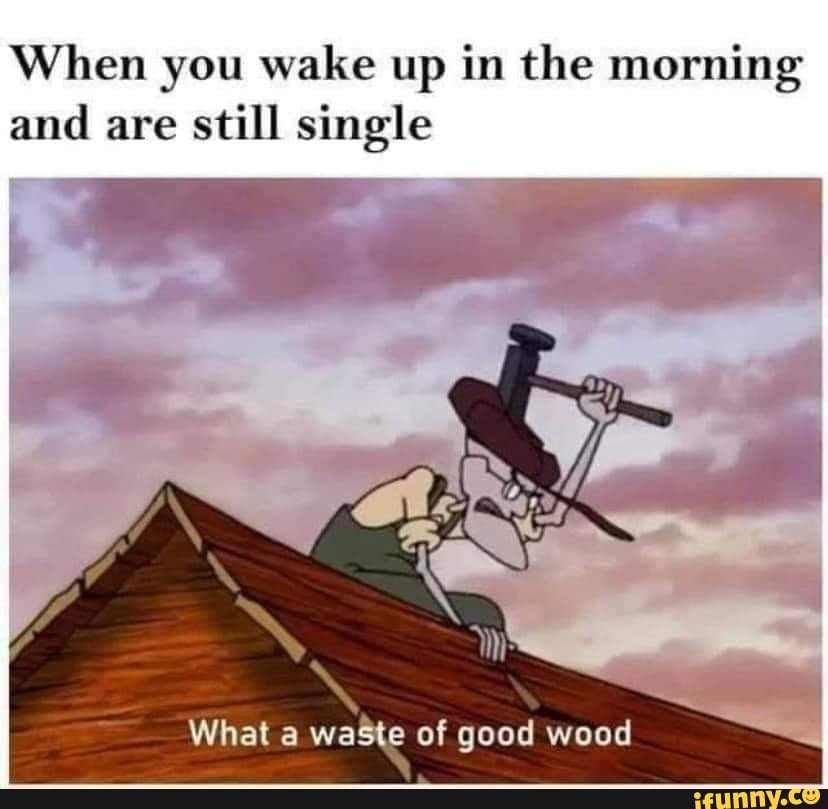 When you wake up in the morning and are still single
What a waSte of good wood