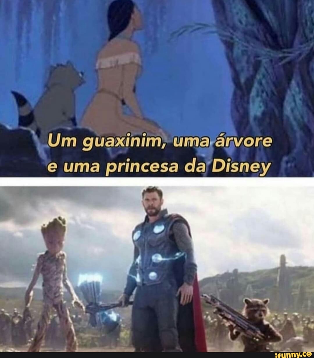 Um guaxinim, umarárvore
e uma princesa da'Disney