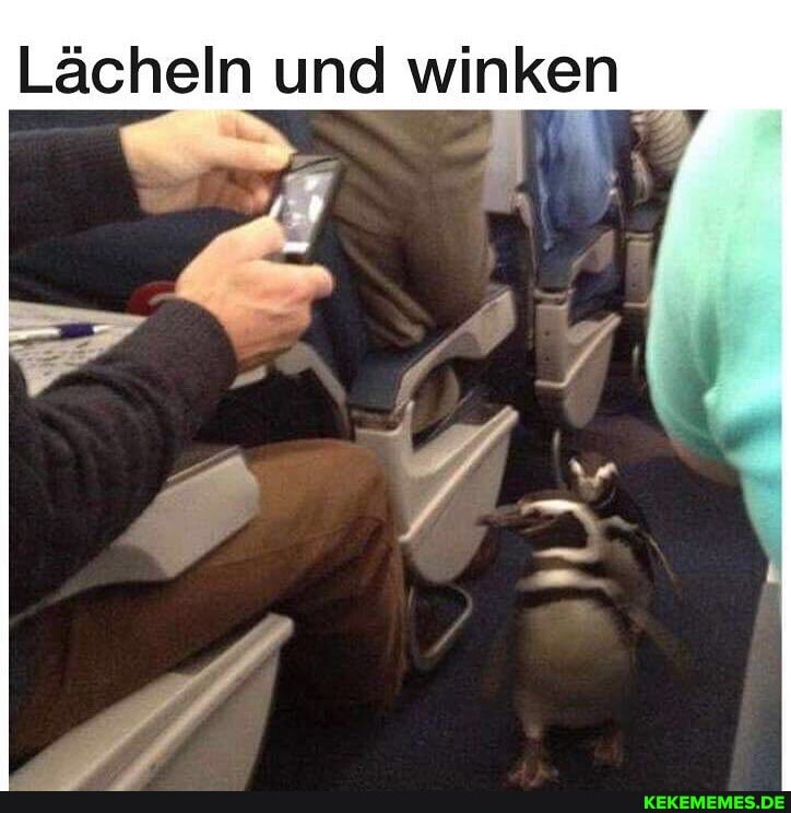 Lächeln I und winken