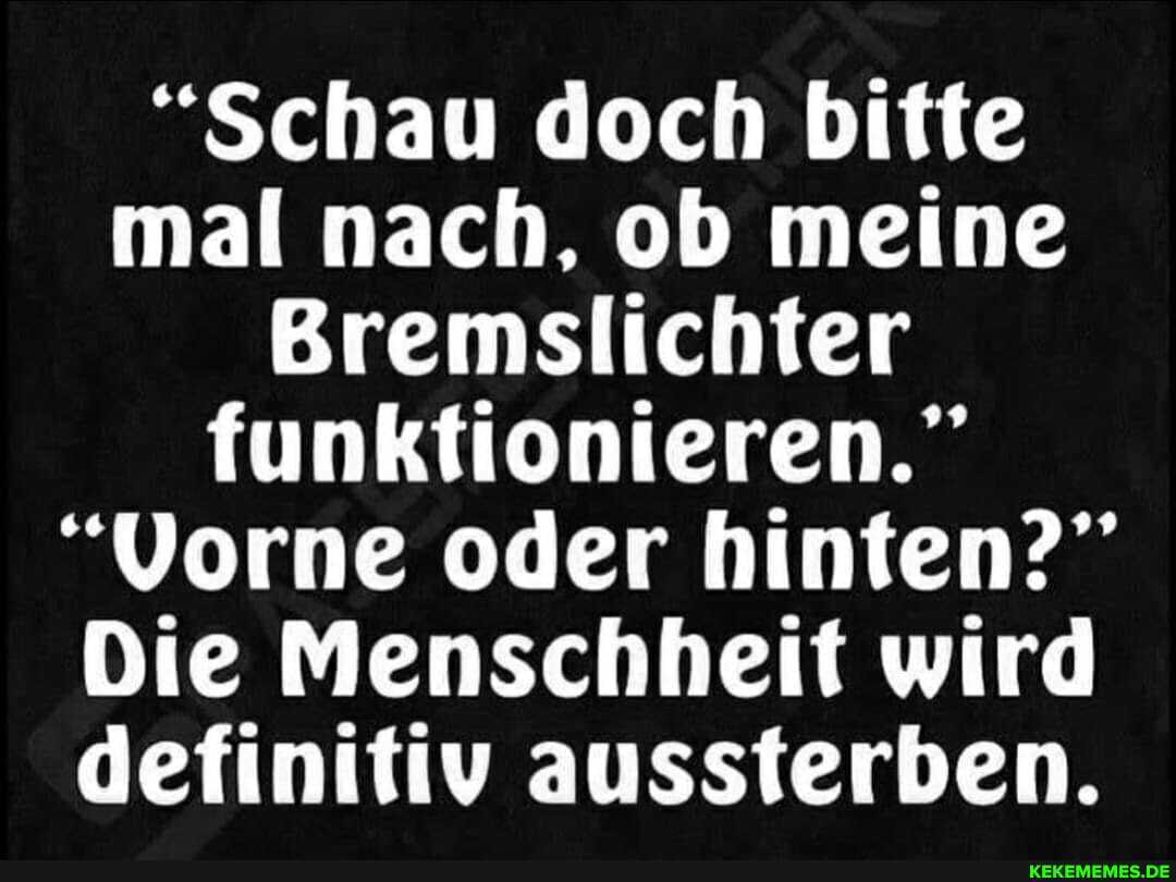 "Schau doch bitte mal nach, ob meine
Bremslichter funktionieren."
"Vorne oder hinten?"
Die Menschheit wird definitiv aussterben.