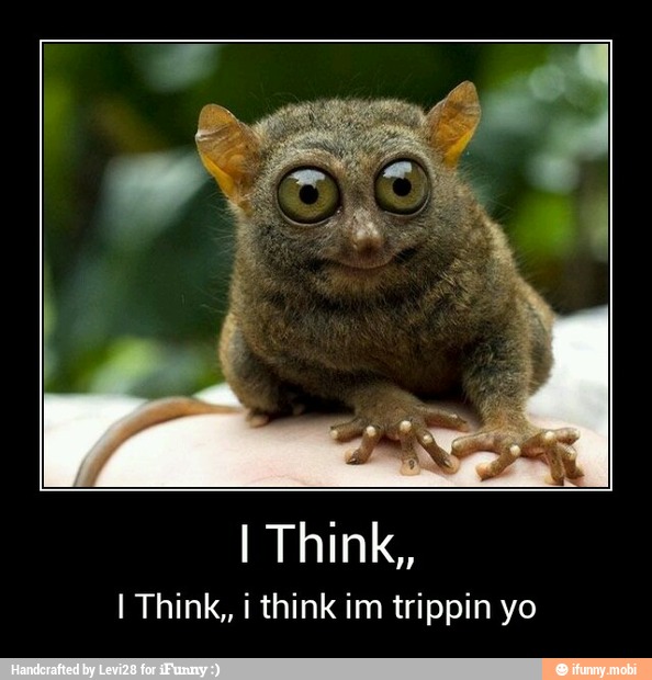 I Think,, i think im trippin yo - I Think,,
I Think,, i think im trippin yo