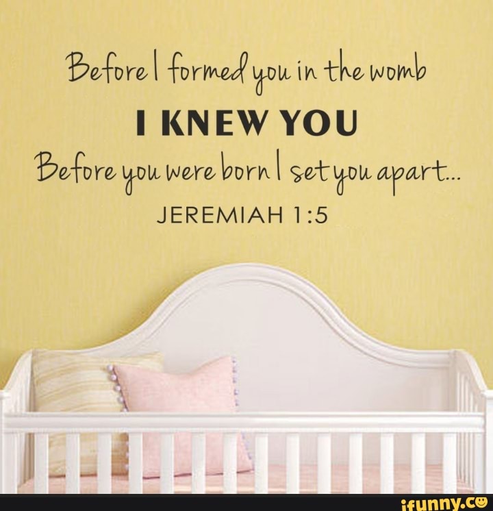 Before I formed you in the womb KNEW YOU Before you were born I set you ...