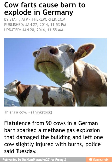 Cow farts cause barn to
explode in Germany
BY STAFF, AFP THEREPORTER.COM
PUBLISHED: JAN 27, 2014 3 PM
UPDATED: JAN 28, 2014
This is a cow.
Flatulence from 90 cows in a German
barn sparked a methane gas explosion
that damaged the building and left one
cow slightly injured with burns, police
said Tuesday.