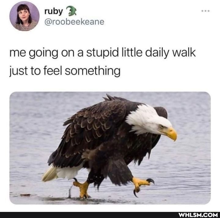 ruby
me going on a stupid little daily walk just to feel something