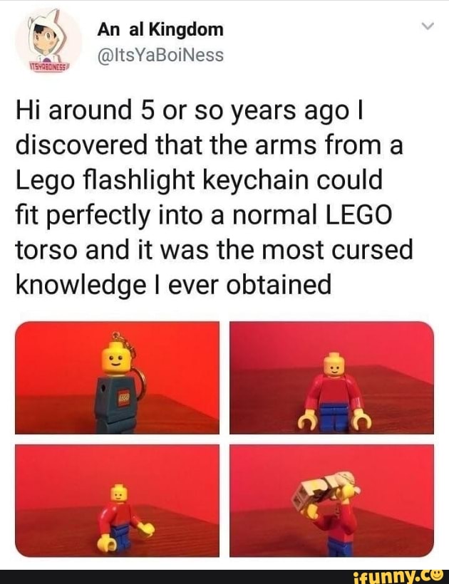 Hi around 5 or so years ago I
discovered that the arms from a
Lego flashlight keychain could
fit perfectly into a normal LEGO
torso and it was the most cursed
knowledge I ever obtained