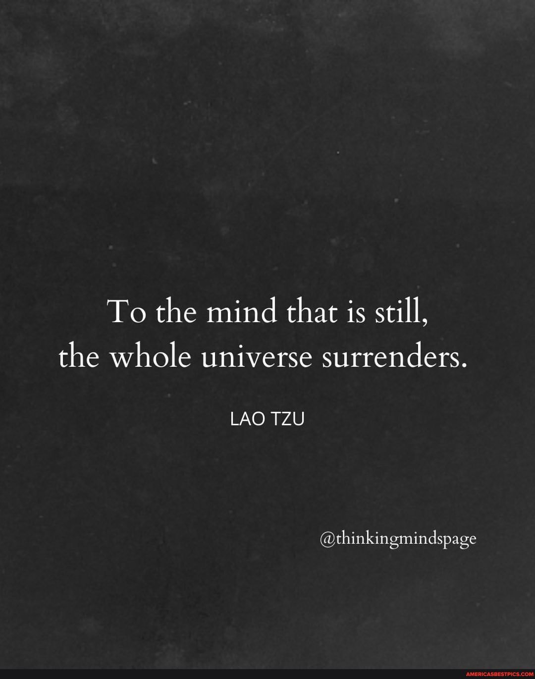 To the mind that is still, the whole universe surrenders.
LAO TZU
@thinkingmindspage