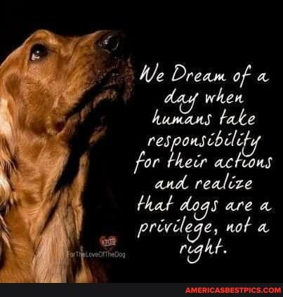 We Dream of a dey when humans tate
respouscbile for their actions and realize that dogs are a privilege, not a right.