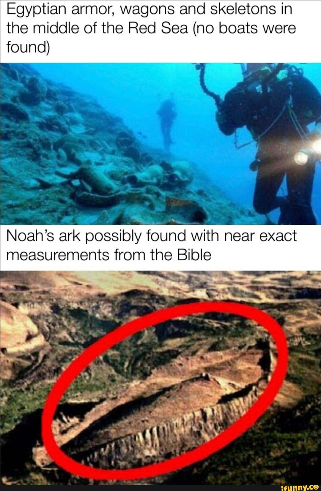 Noahs memes. Best Collection of funny Noahs pictures on iFunny