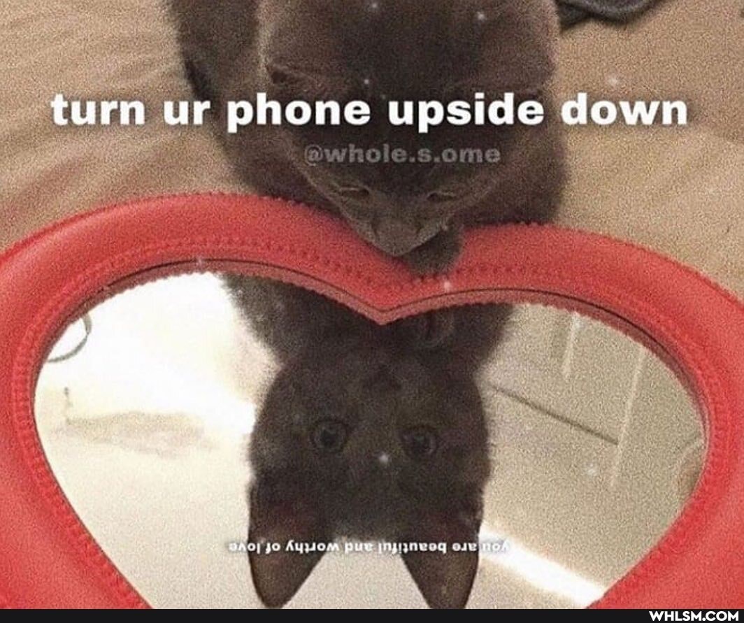 turn ur phone upside down
me