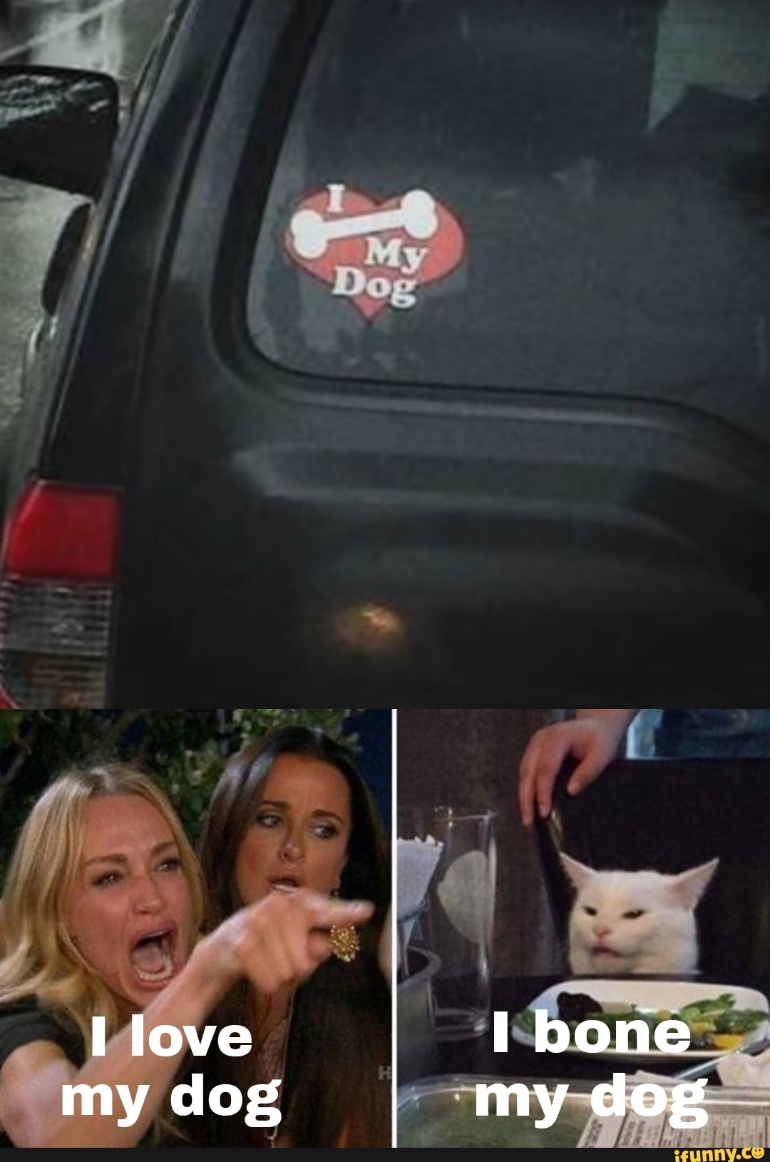i bone my dog