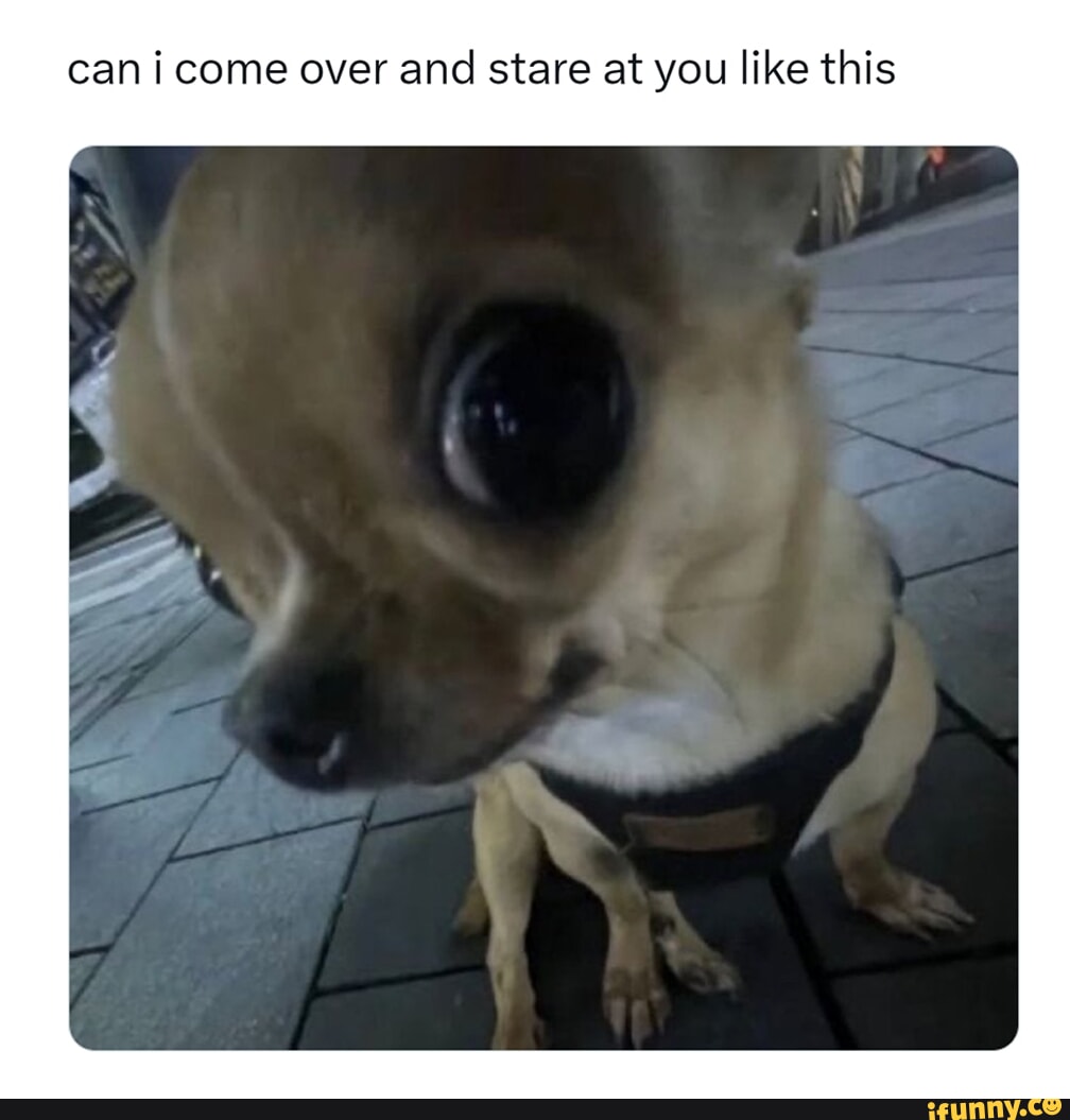 Can i come over and stare at you like this - iFunny