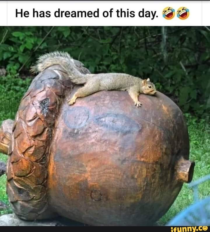 He has dreamed of this day.