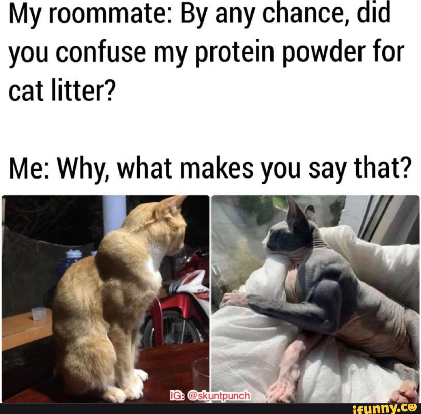 Video memes t1dL3y8nA by Milks iFunny