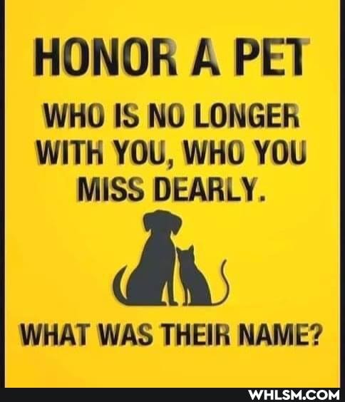 HONOR A PEI
WHO IS NO LONGER WITH YOU, WHO YOU MISS DEARLY.
WHAT WAS THEIR NAME?