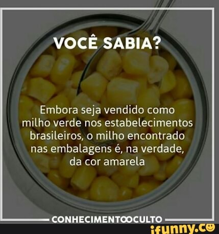 VOCÊ SABIA?
Embora seja vendido como
milho verde nos estabelecimentos
brasileiros, o milho encontrado
nas embalagens é, na verdade,
da cor amarela
CONHECIMENTOOCULTO