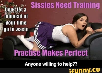 Shemale Sissy Training