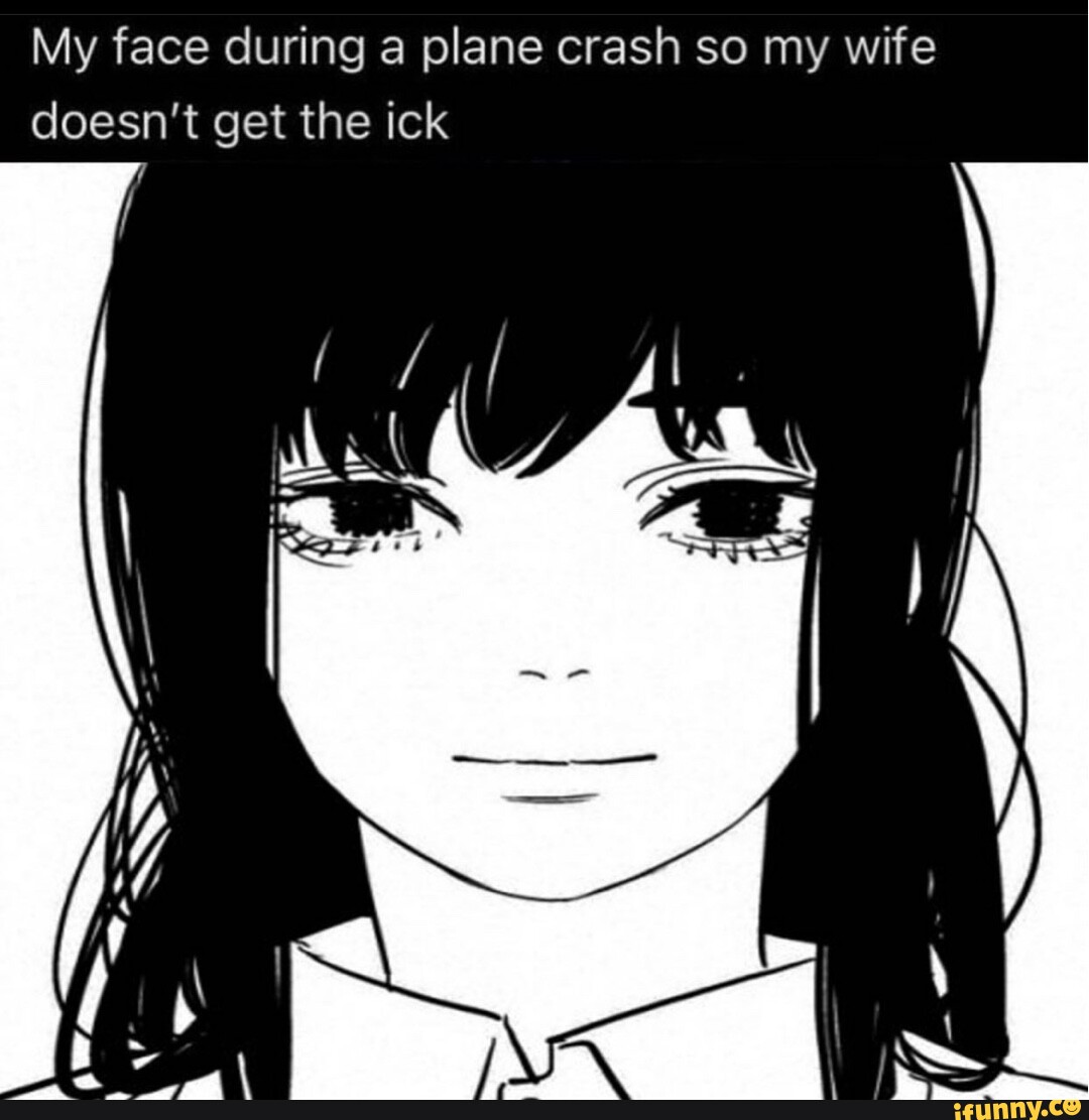 My face during a plane crash so my wife doesn't get the ick - iFunny