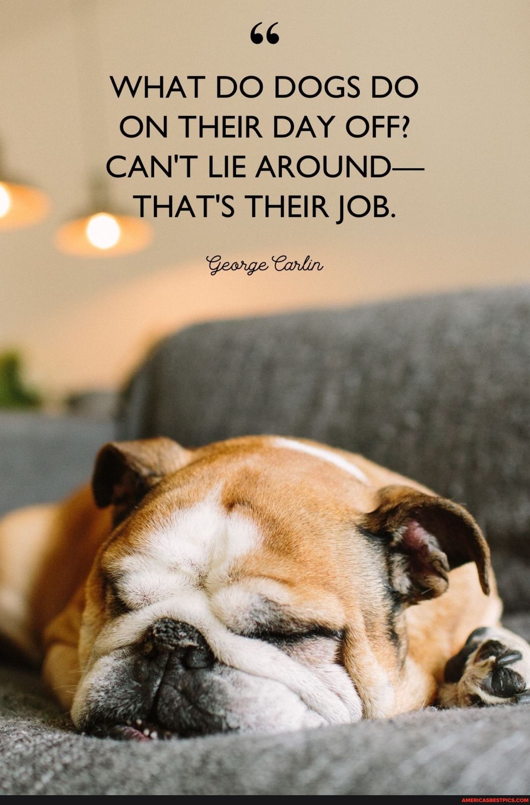 66
WHAT DO DOGS DO ON THEIR DAY OFF?
CAN'T LIE AROUND-
THAT'S THEIR JOB.
Geonge Carlin